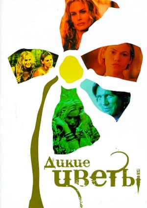 Дикие цветы (Полевые цветы)