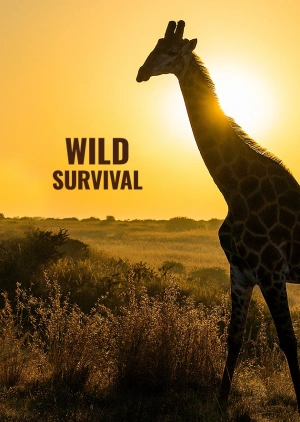 Wild Survival