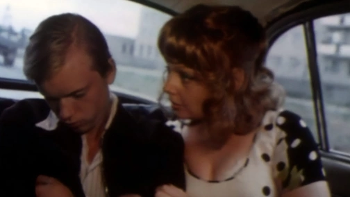 Цілуються зорі