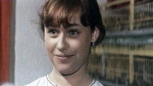 Квіти лугові