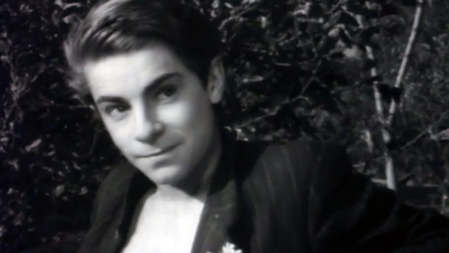 Прапори на баштах