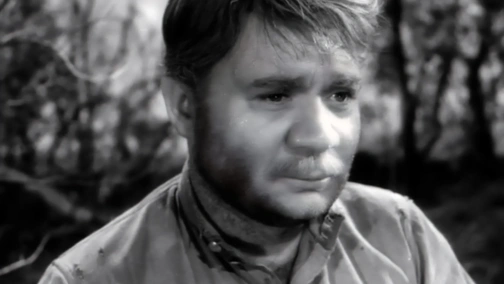 Донська повість