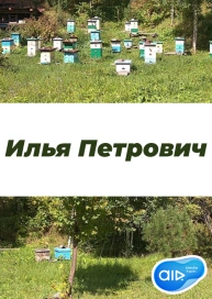 Илья Петрович