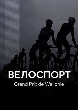 Велоспорт. Grand Prix de Wallonie