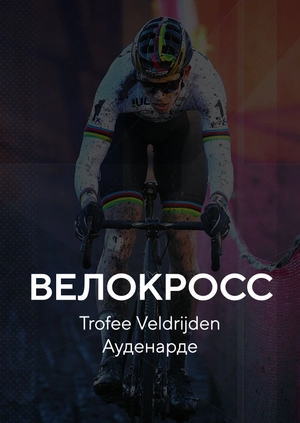 Велокросс. Trofee Veldrijden. Ауденарде