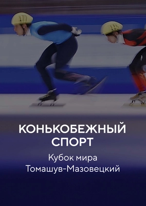 Конькобежный спорт. Кубок мира. Томашув-Мазовецкий