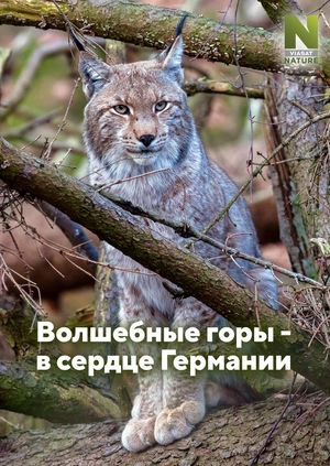 Волшебные горы - в сердце Германии