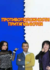 Противоположности притягиваются