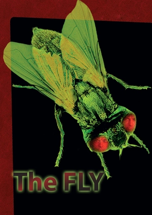 The Fly