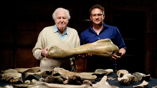 Attenborough and the Mammoth Graveyard