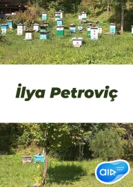 İlya Petrovi&ccedil;