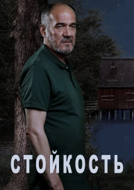 Стойкость