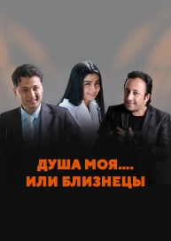Душа моя…. или близнецы