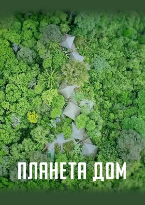 Планета Дом