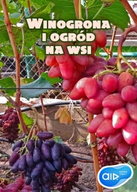 Winogrona i ogródek na wsi