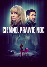 Ciemno, prawie noc — plakat