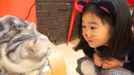 Boram Play in Cat Cafe