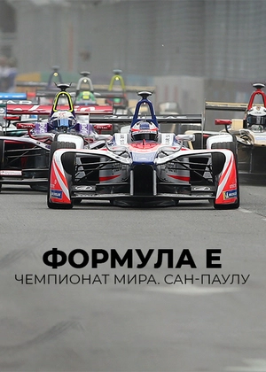 Формула E. Чемпионат мира. Сан-Паулу