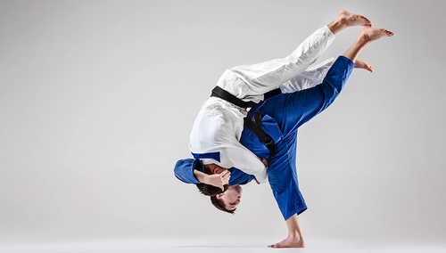 Judo Grand Slam. Tbilisi