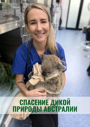 Спасение дикой природы Австралии