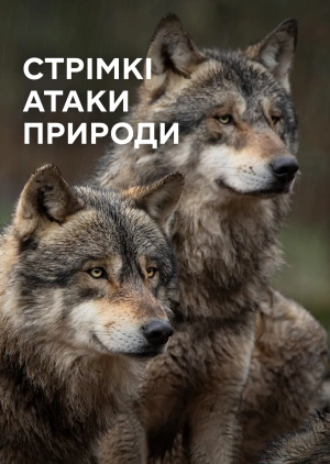 Стрімкі атаки природи