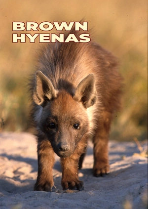 Brown Hyenas