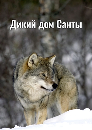 Дикий дом Санты