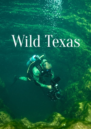 Wild Texas