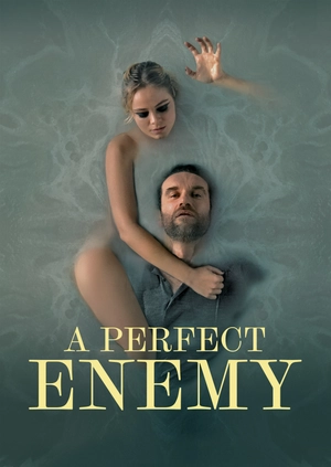 A Perfect Enemy