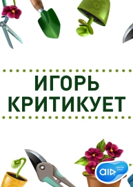 Игорь Критикует