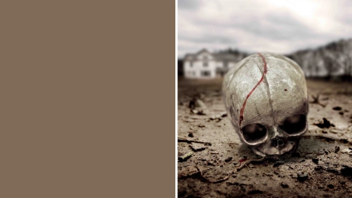 Родюча земля