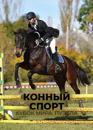 Конный спорт. Кубок мира. Пуэбла