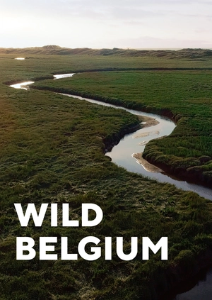Wild Belgium