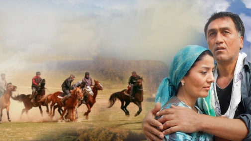 Наїзник