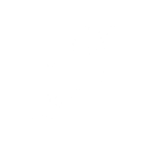 ПРЯМИЙ HD. Бізнес
