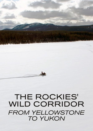 The Rockies' Wild Corridor: From Yellowstone To Yukon