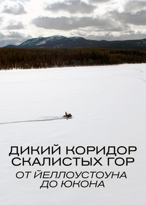 Дикий коридор Скалистых гор: от Йеллоустоуна до Юкона