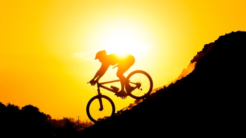 UCI Mountain Bike World Series. Leogang