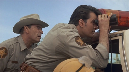 За пределами закона