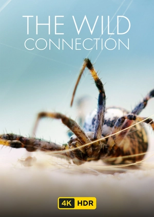 The Wild Connection UHD HDR