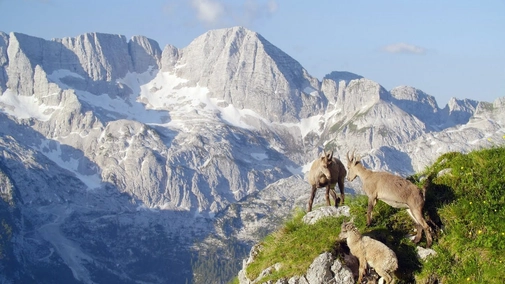 Slovenia: Where Nature Goes