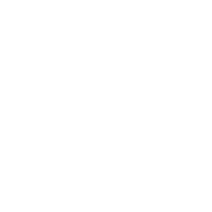 Vixen