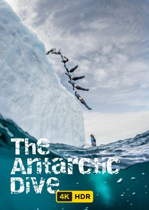 The Antarctic Dive UHD HDR — plakat