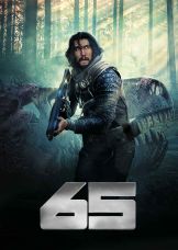 65 — plakat