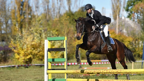 Broadcast: Show jumping