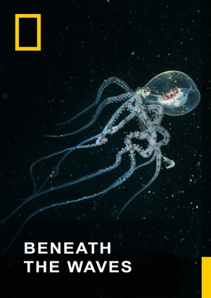 Beneath the Waves