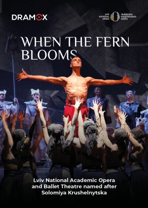 When the ferns bloom